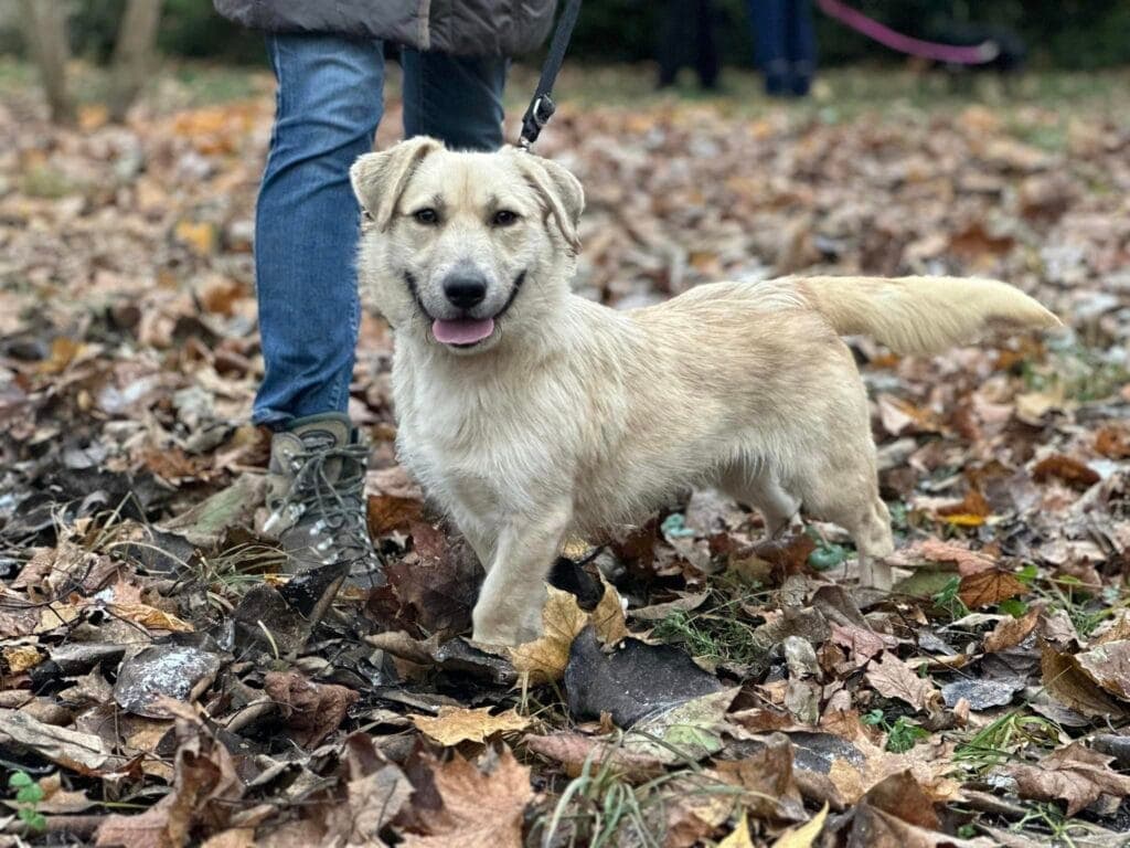 Apollo – mix