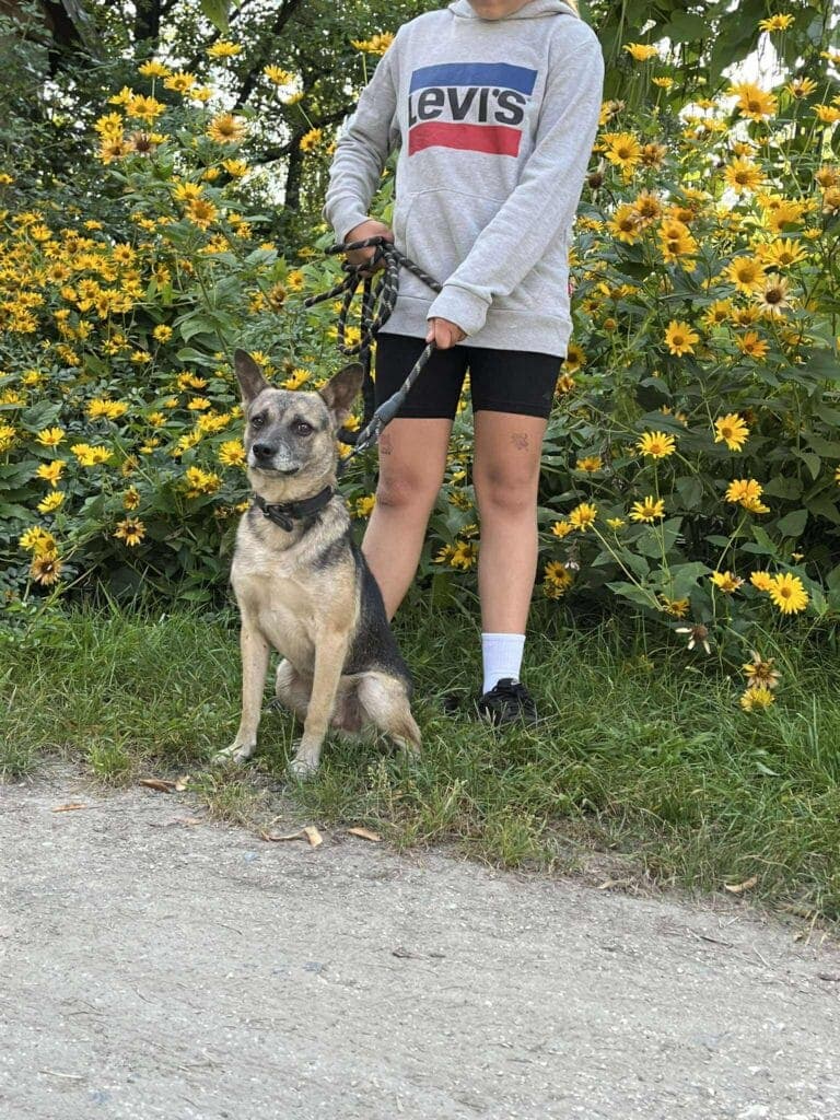 Budyń – zdjęcie 5