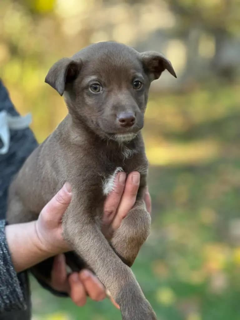 Bumi – mix