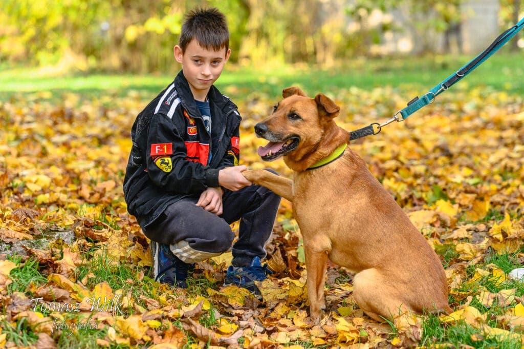 Gold – zdjęcie 3