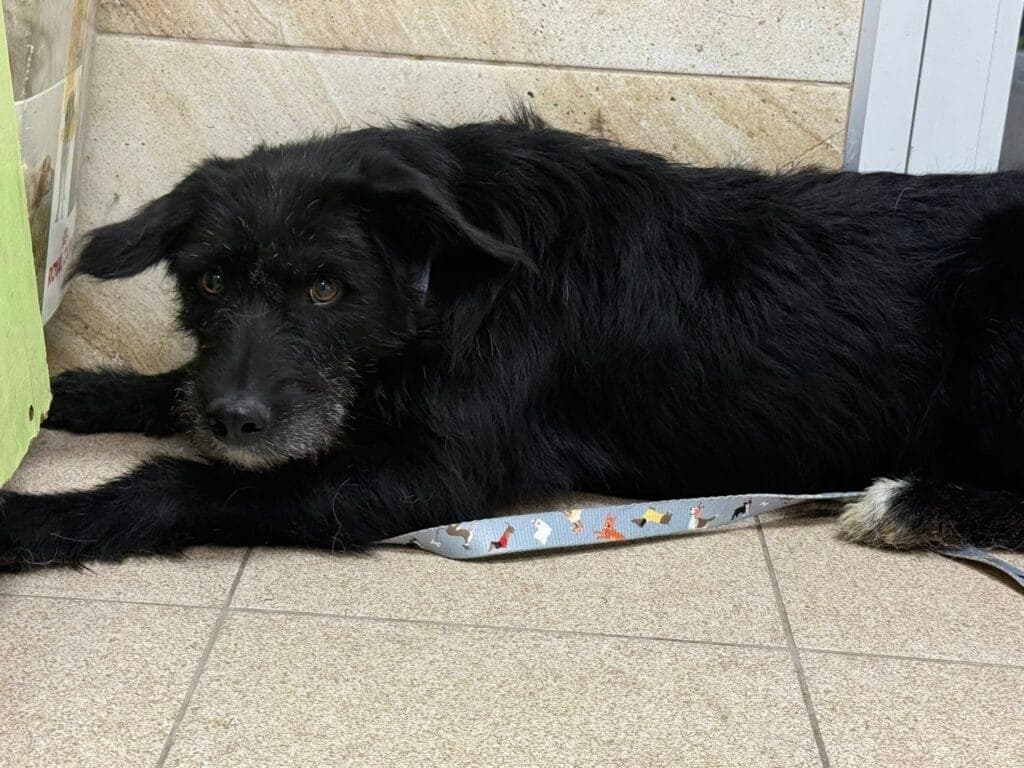 Lucjan – zdjęcie 2