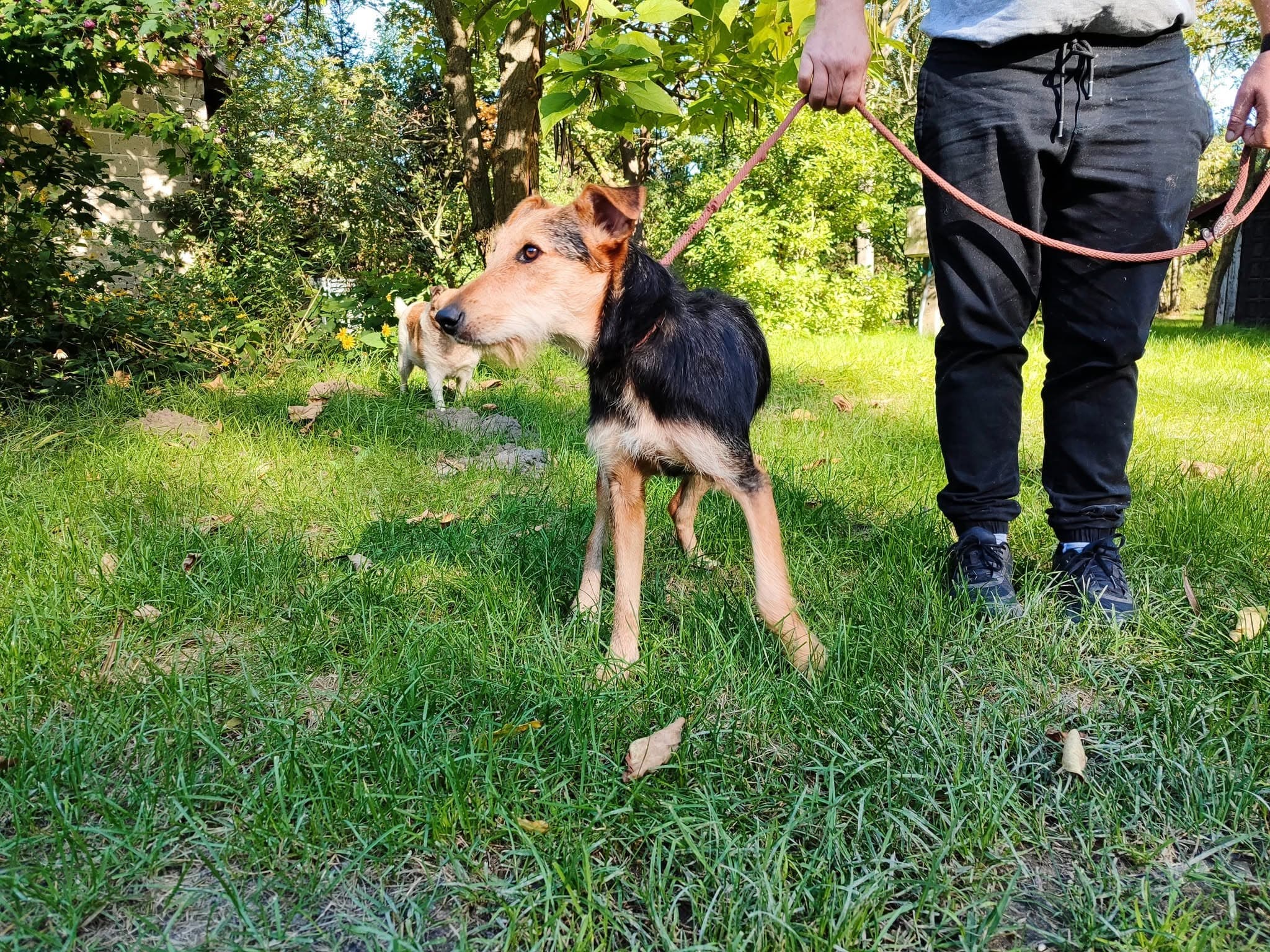 Mela – zdjęcie 4