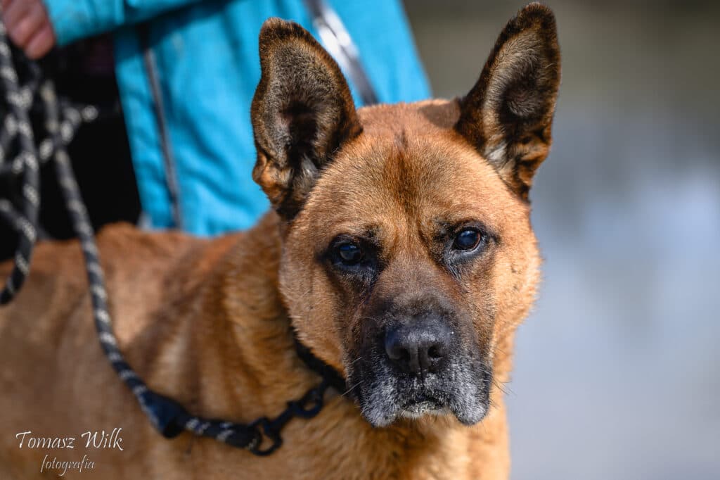 Ragnar