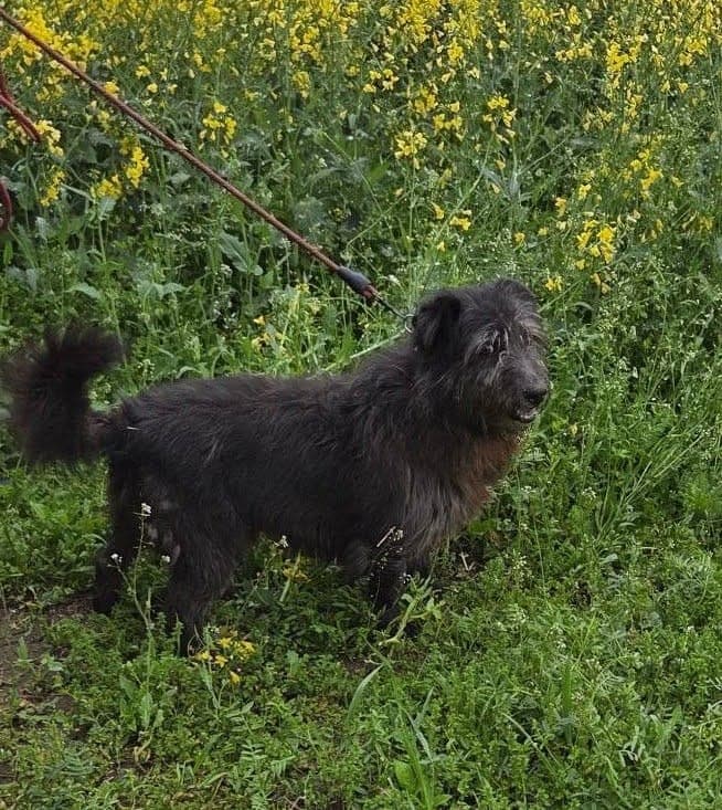 Rekin – zdjęcie 2